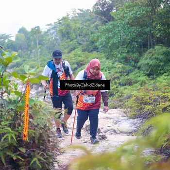 Runner Photo 5842353