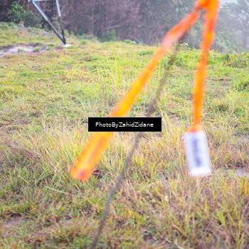 Runner Photo 5842958