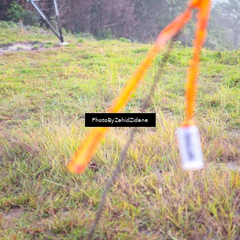 Runner Photo 5843179