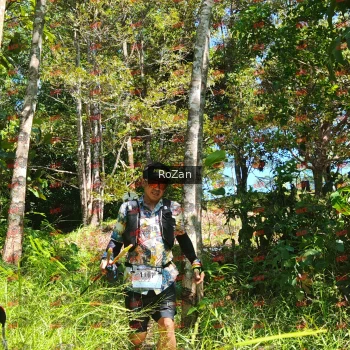Runner Photo 5849