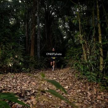 Runner Photo 5852547