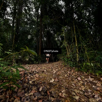 Runner Photo 5852564