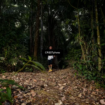 Runner Photo 5852586