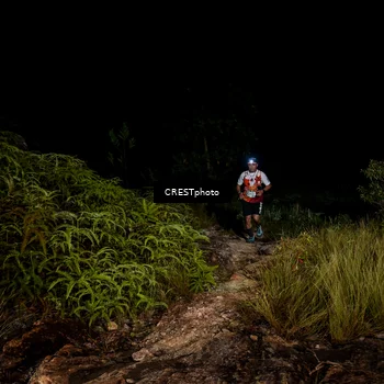 Runner Photo 5856699