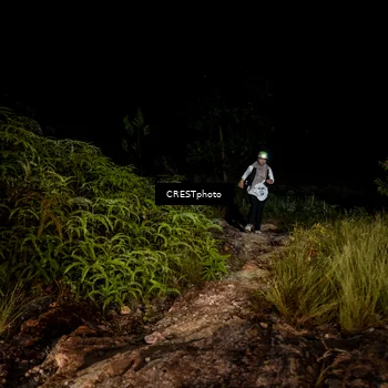Runner Photo 5856708