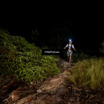Runner Photo 5856809