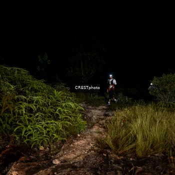 Runner Photo 5856931
