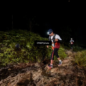 Runner Photo 5856946