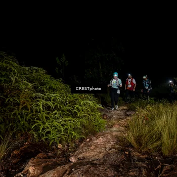 Runner Photo 5857260