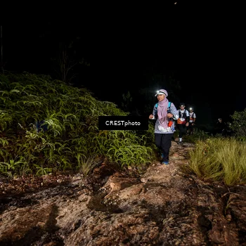 Runner Photo 5857309