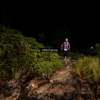 Runner Photo 5857593