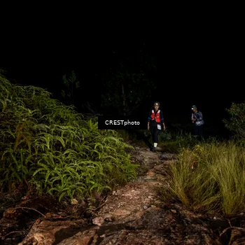 Runner Photo 5857791