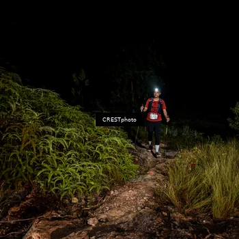 Runner Photo 5857938