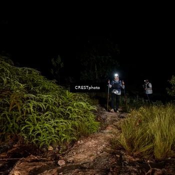Runner Photo 5858122