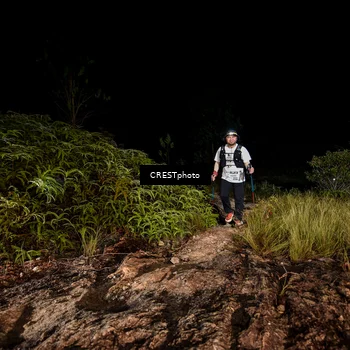 Runner Photo 5858170