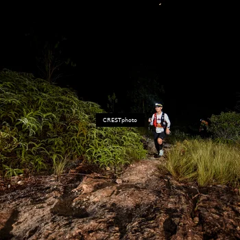 Runner Photo 5858198