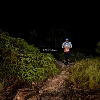 Runner Photo 5858257