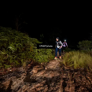 Runner Photo 5858457