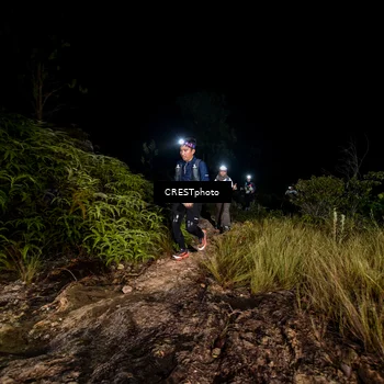 Runner Photo 5858529