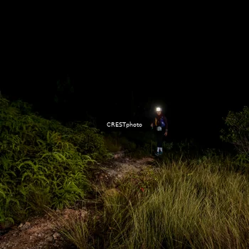 Runner Photo 5858636