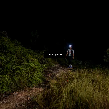 Runner Photo 5858677