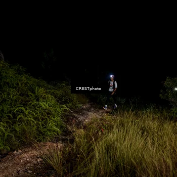 Runner Photo 5858678