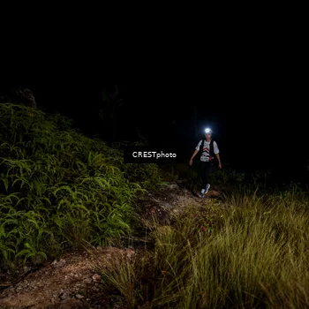 Runner Photo 5858687