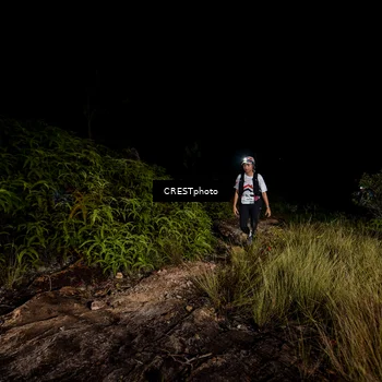 Runner Photo 5858689