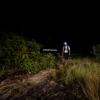 Runner Photo 5858697