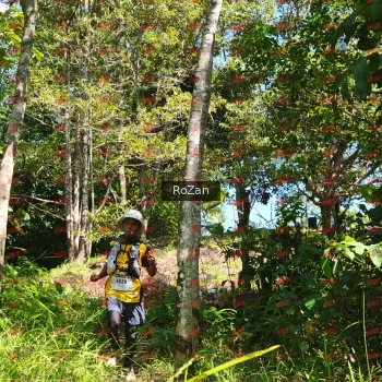 Runner Photo 5865