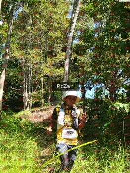 Runner Photo 5867