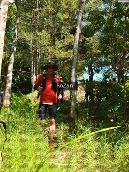 Runner Photo 5869
