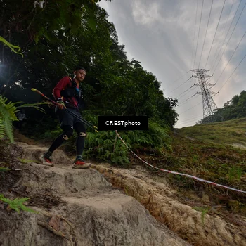 Runner Photo 5869019