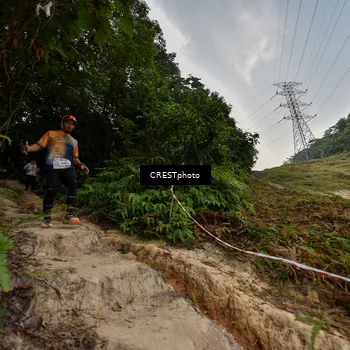 Runner Photo 5869400