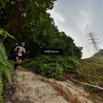 Runner Photo 5869449