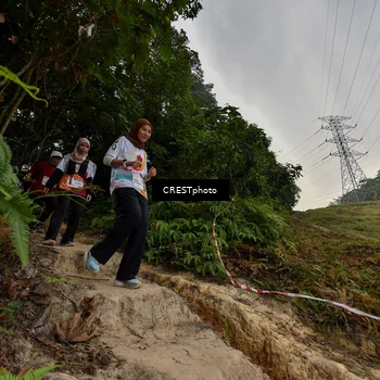 Runner Photo 5871280