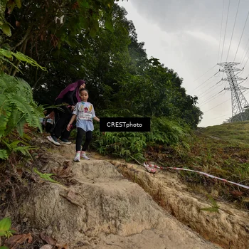 Runner Photo 5872336