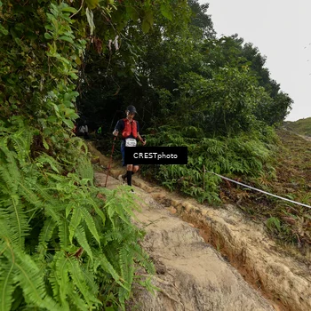 Runner Photo 5873114