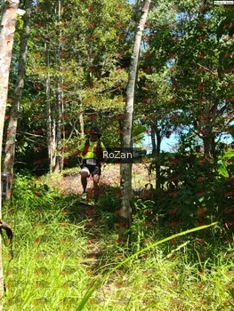 Runner Photo 5883