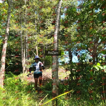 Runner Photo 5894