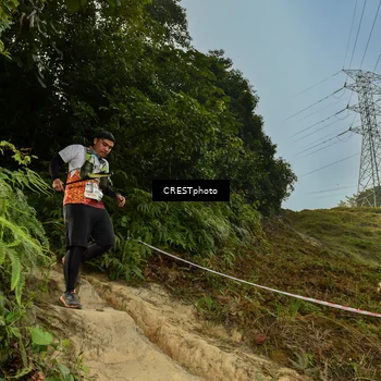 Runner Photo 5896684