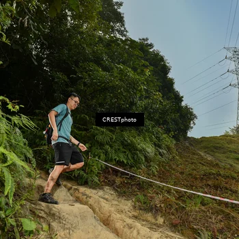 Runner Photo 5896701