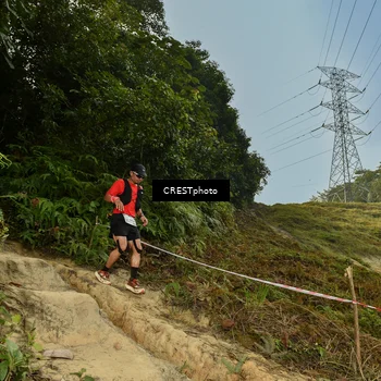 Runner Photo 5897115