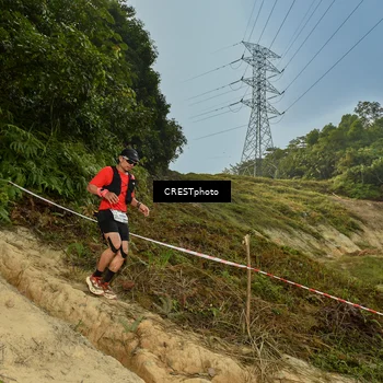 Runner Photo 5897152