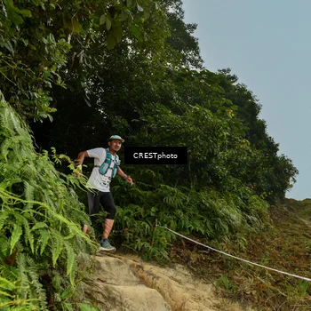 Runner Photo 5897445
