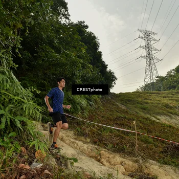 Runner Photo 5898803