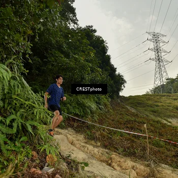 Runner Photo 5898804