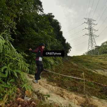 Runner Photo 5898871