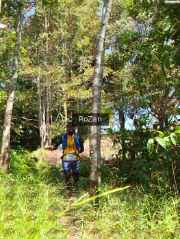 Runner Photo 5901