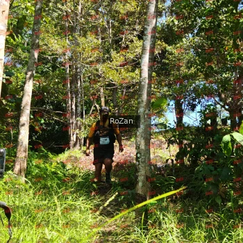 Runner Photo 5904